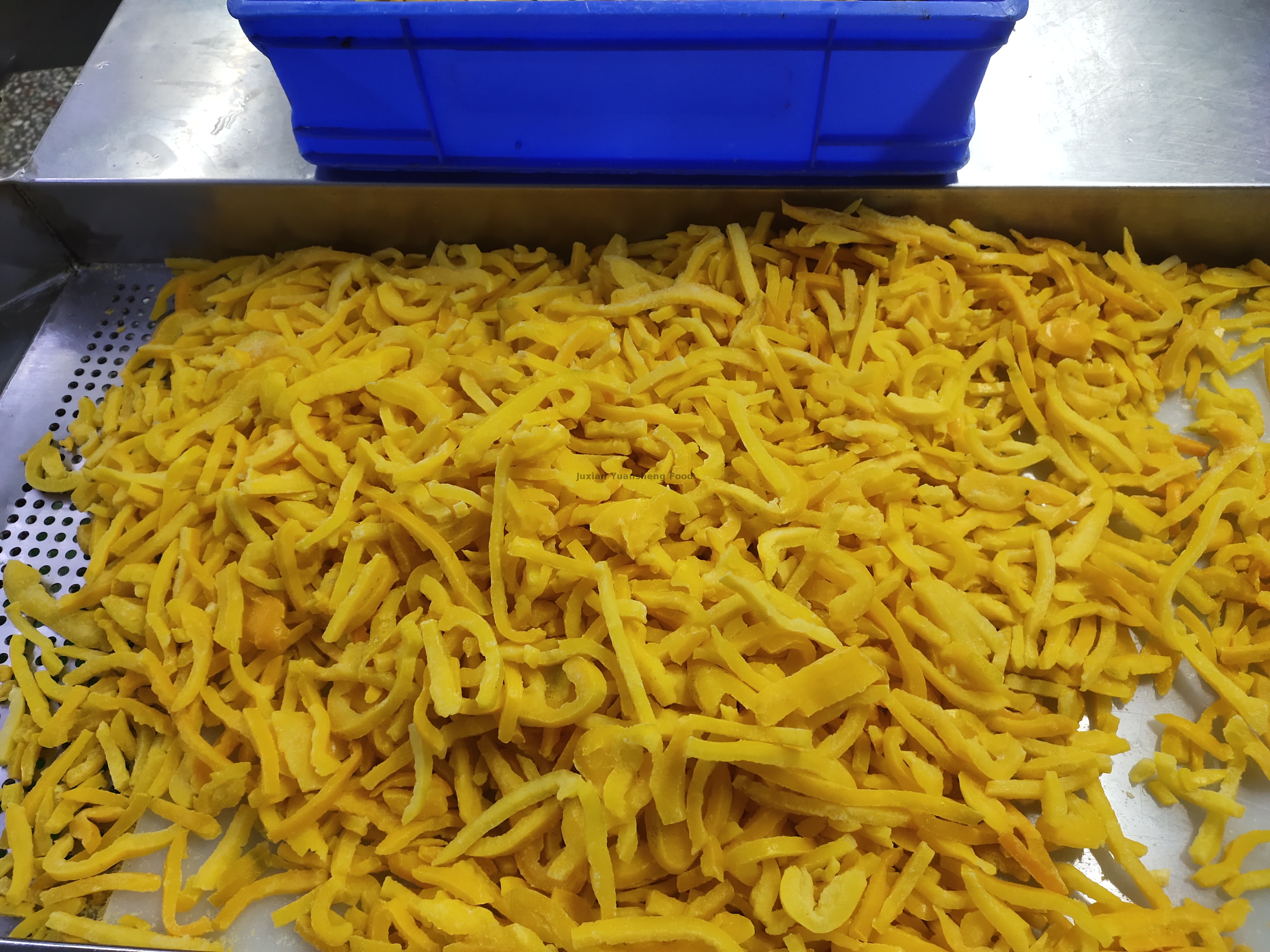 bell pepper (11) 피망 (11)