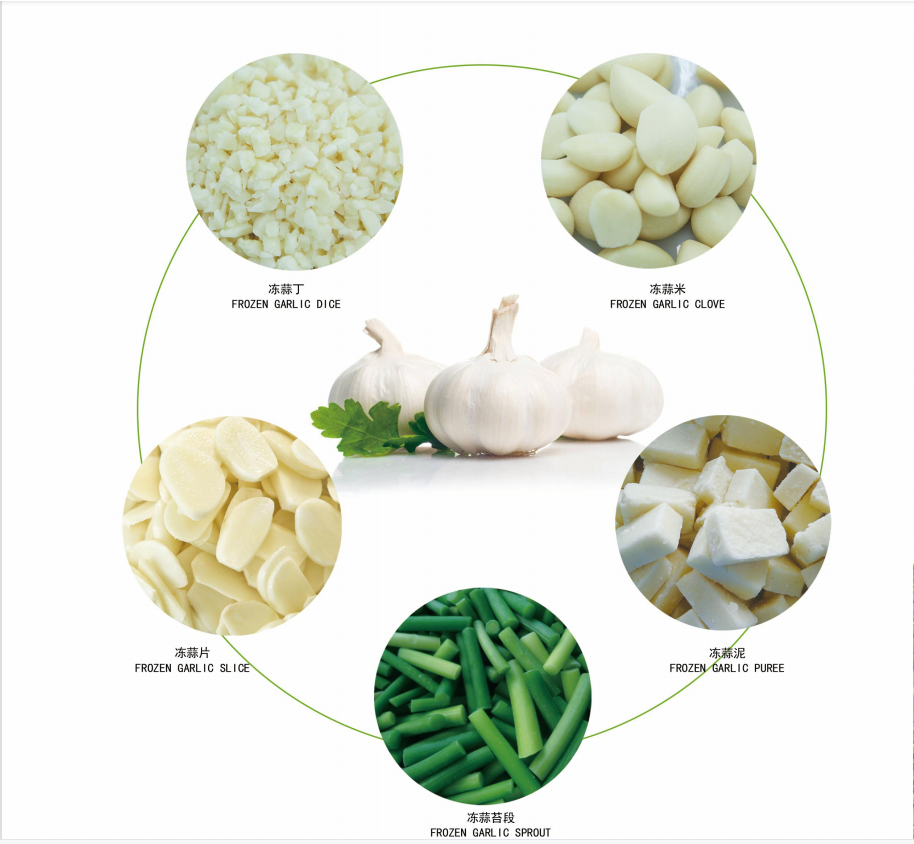 100% 신선한 냉동 마늘 퓨레 펠릿