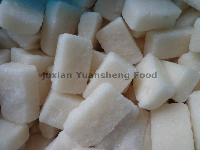 양파 퓨레 20g (5)