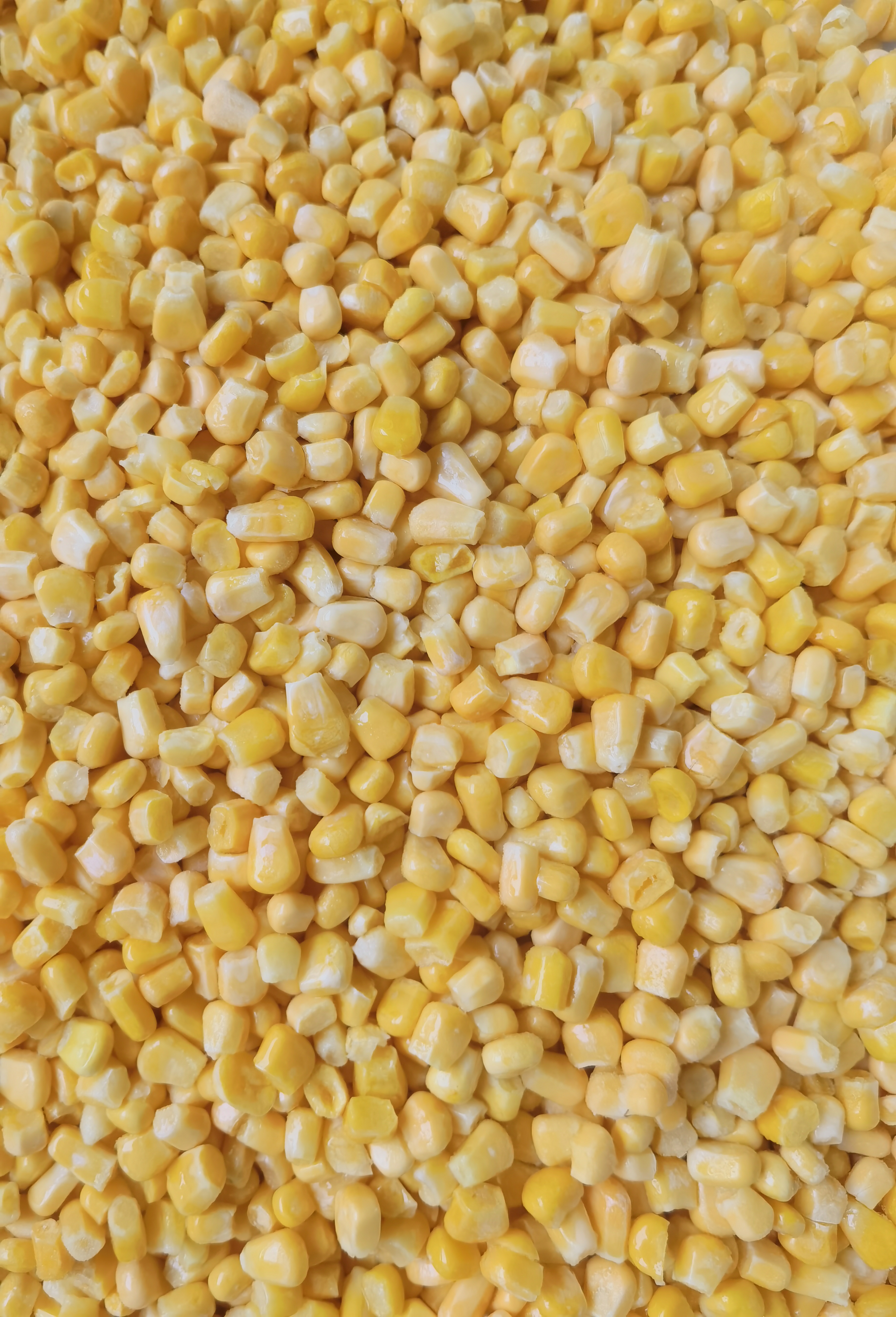 달콤한 옥수수 (1)