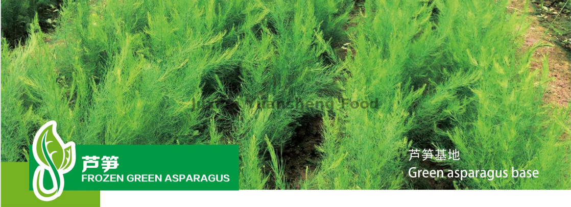 아스파라거스 베이스
